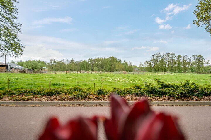 Foto 16 – Oostindie 19, Zevenhuizen