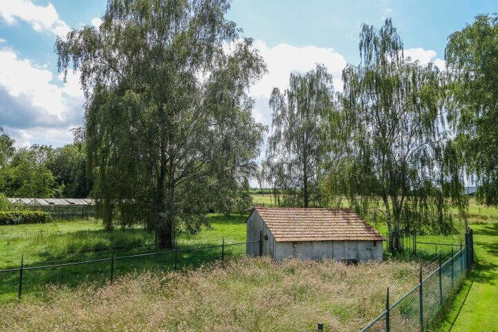 Foto 45 - Osterbos 3, Swolgen