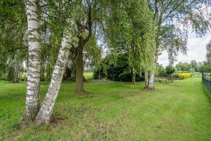 Foto 53 - Osterbos 3, Swolgen