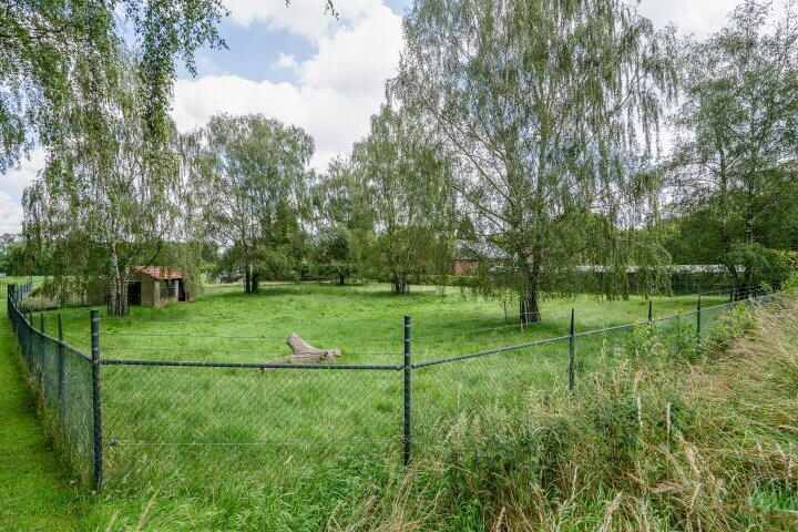 Foto 54 - Osterbos 3, Swolgen