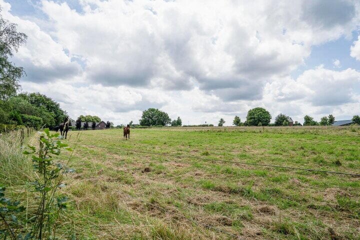 Foto 55 - Osterbos 3, Swolgen