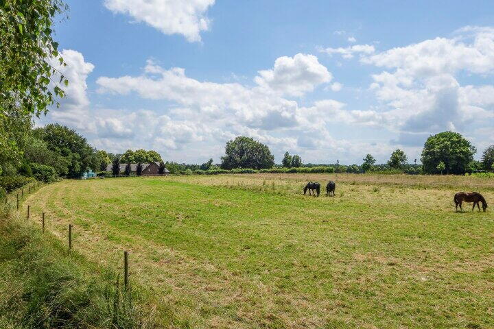 Foto 56 - Osterbos 3, Swolgen