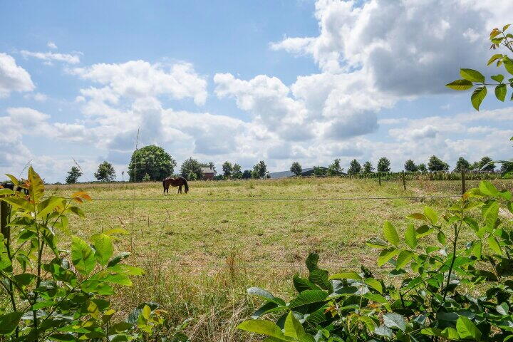 Foto 57 - Osterbos 3, Swolgen