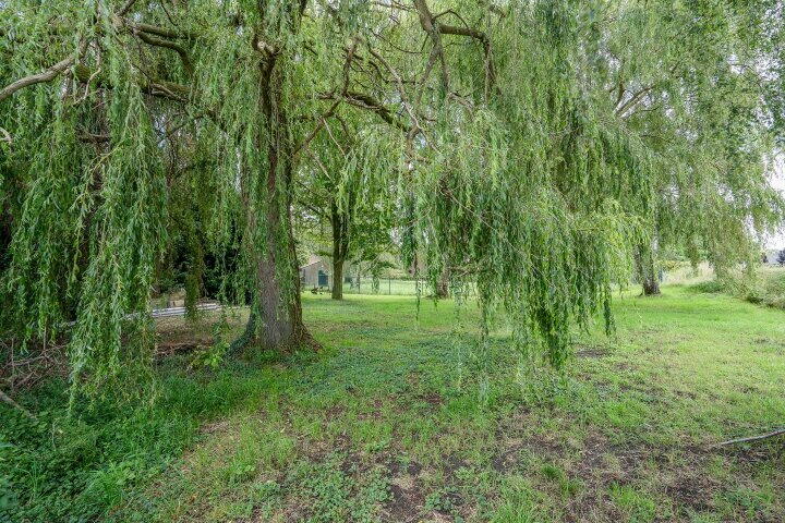 Foto 59 - Osterbos 3, Swolgen