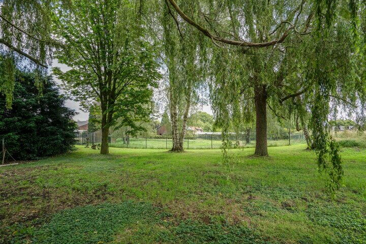 Foto 60 - Osterbos 3, Swolgen