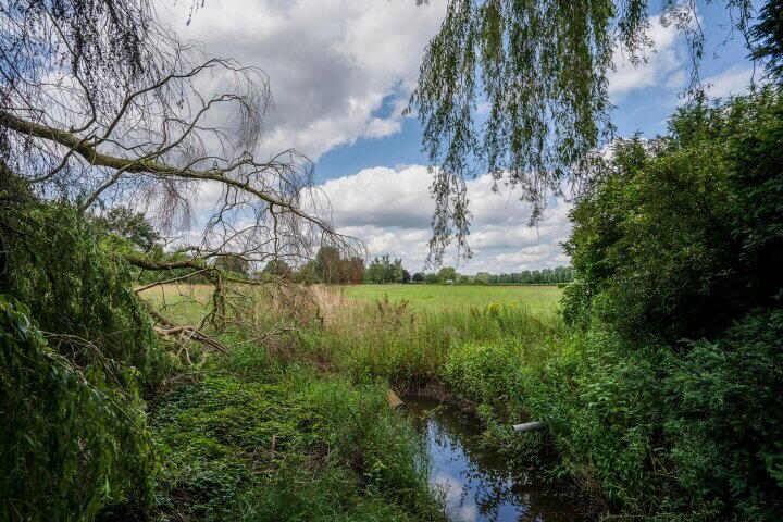 Foto 61 - Osterbos 3, Swolgen