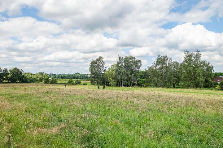 Foto 63 - Osterbos 3, Swolgen