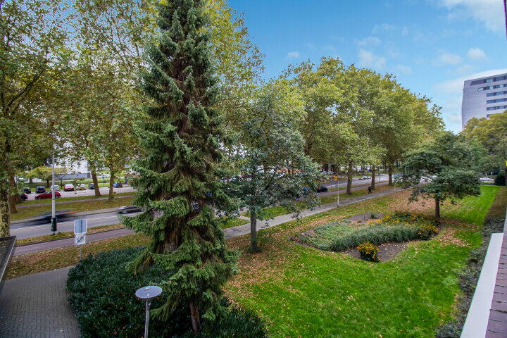 Foto 4 - Otto Verdoornplaats 66, Rotterdam