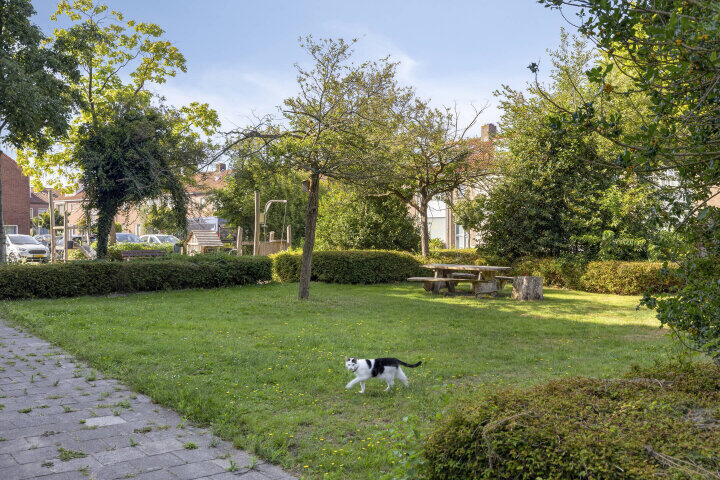 Foto 23 - Oude Bogerd 36 A, Breda