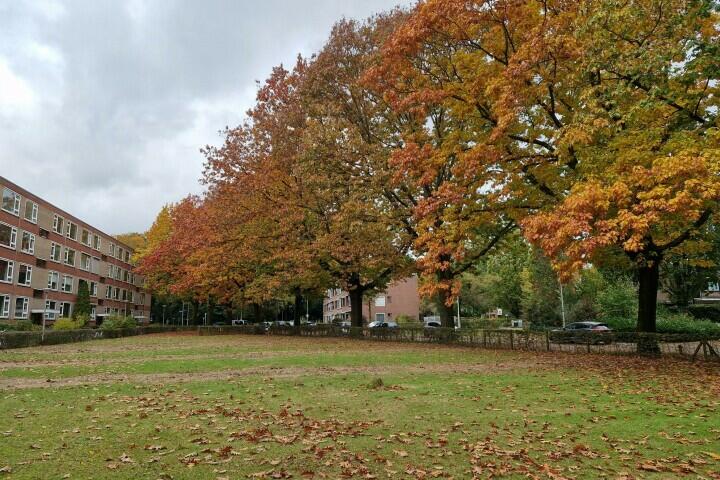 Foto 21 - Oude Molenweg 283, Nijmegen