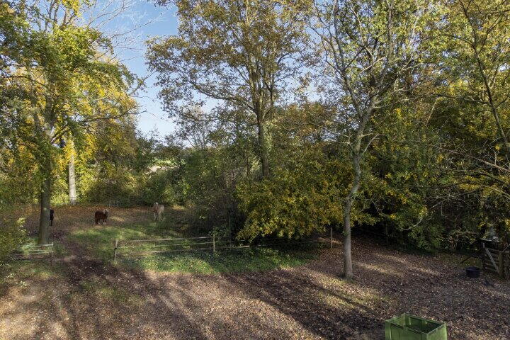 Foto 59 - Oude Postweg 31, Ambt Delden