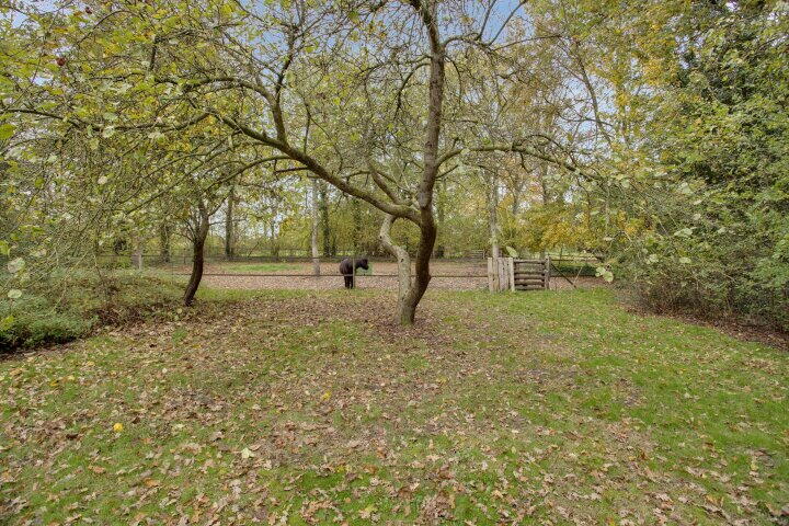 Foto 61 - Oude Postweg 31, Ambt Delden