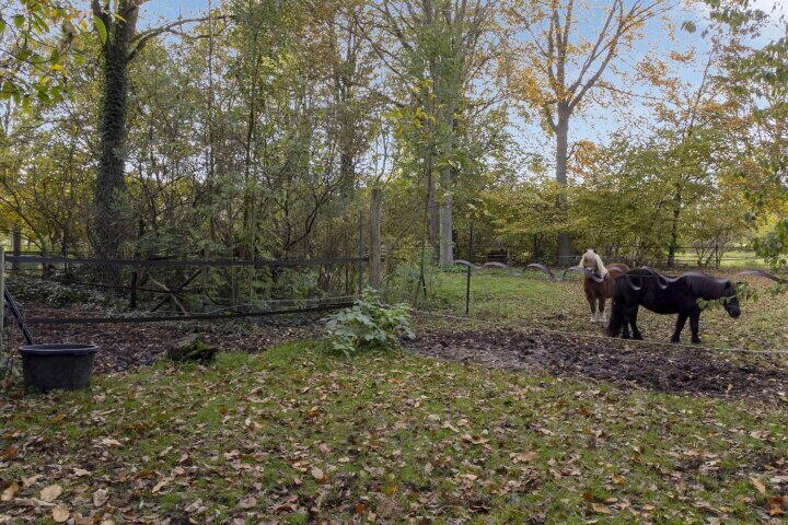 Foto 63 - Oude Postweg 31, Ambt Delden