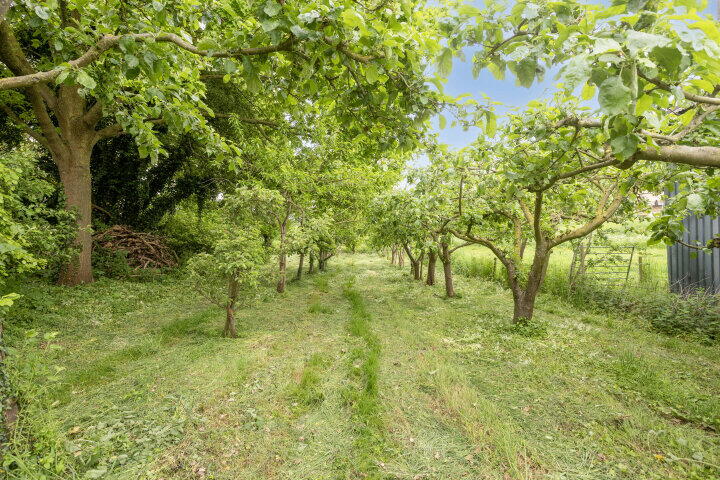 Foto 2 – Parallelweg naast 2b 0 Ong, Batenburg