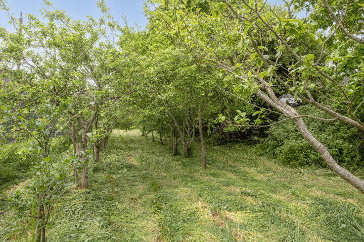 Foto 4 – Parallelweg naast 2b 0 Ong, Batenburg