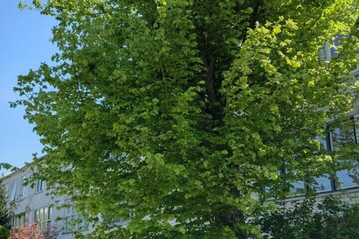 Foto 44 – Parkhof 81, Amsterdam