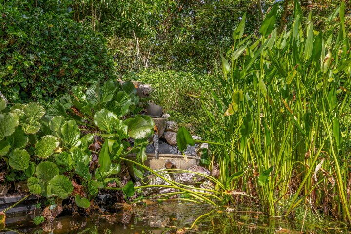 Foto 81 - Parkkamp 37, Havelte