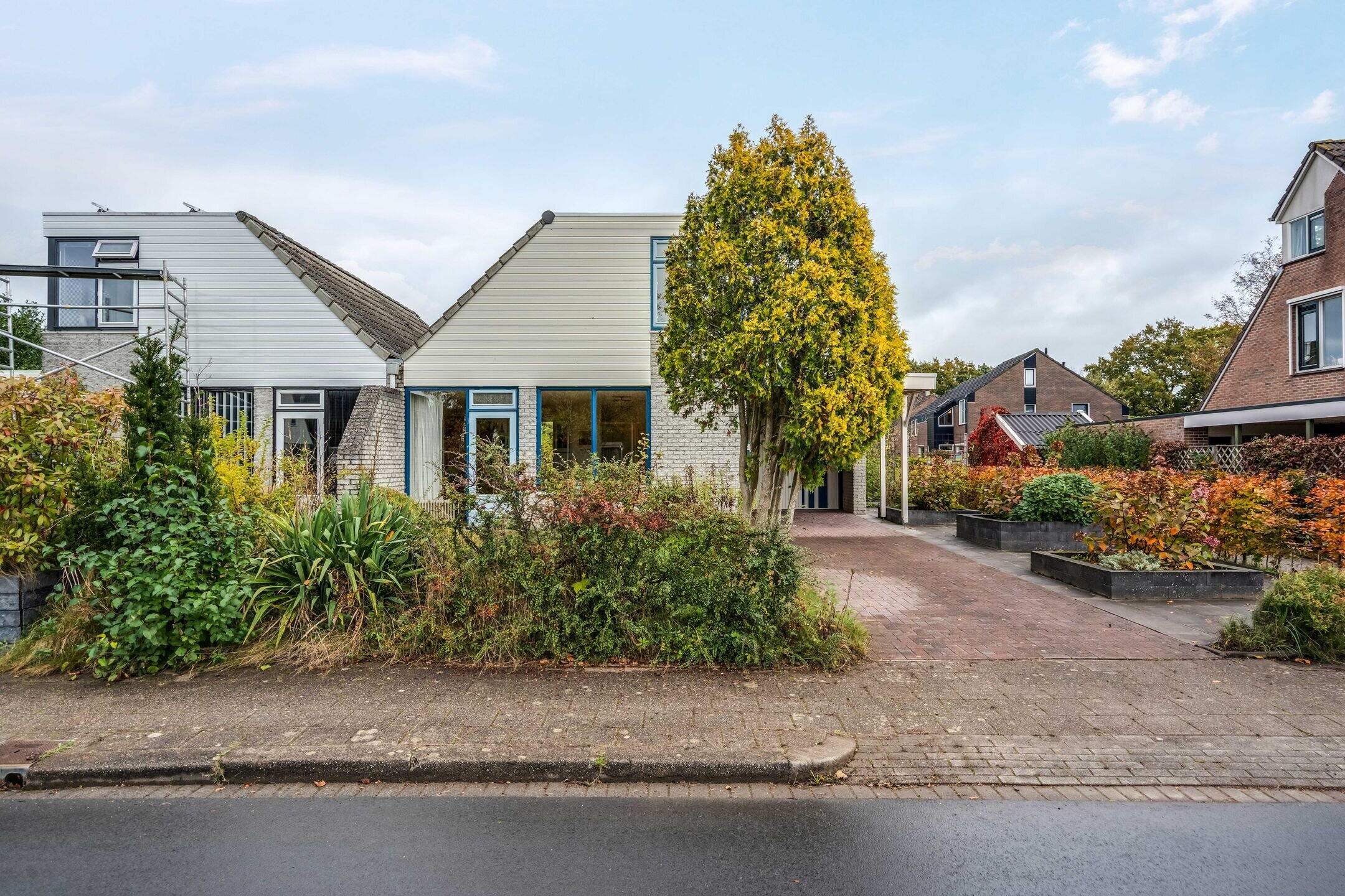 360 foto - Pinksterbloem 24, Roden