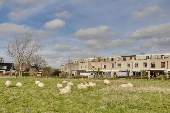 Foto 52 - Ponyweide 98, Zoetermeer