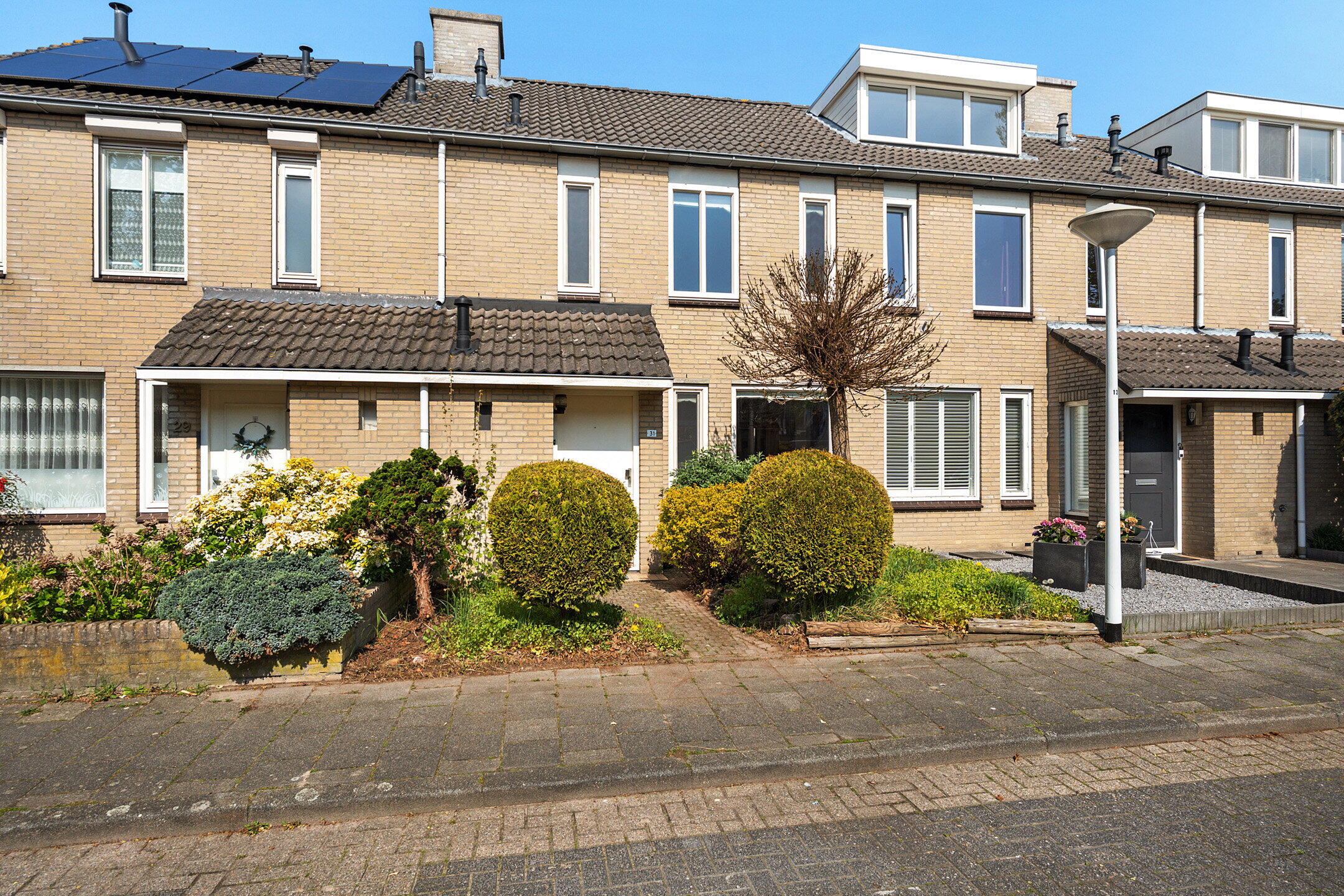 360 foto - Populier 31, Best