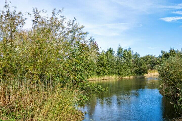 Foto 51 – Prins Clausdreef 1 a, Langbroek