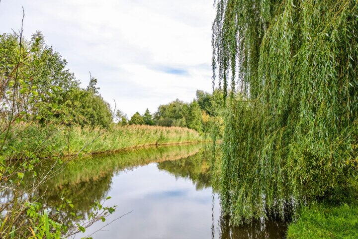 Foto 54 – Prins Clausdreef 33, Langbroek