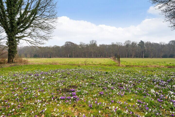 Foto 34 - Prins Clausstraat 61, Smilde