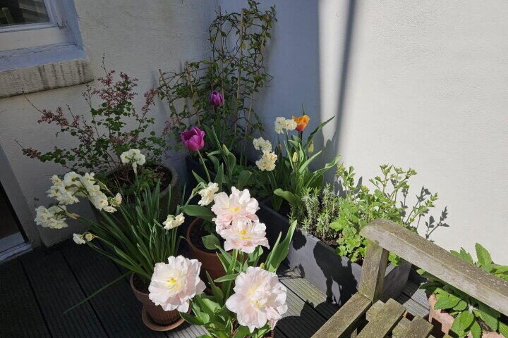 Foto 26 - Prinseneiland 93 B, Amsterdam