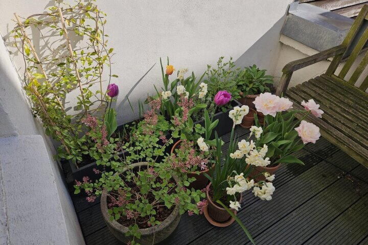 Foto 27 - Prinseneiland 93 B, Amsterdam