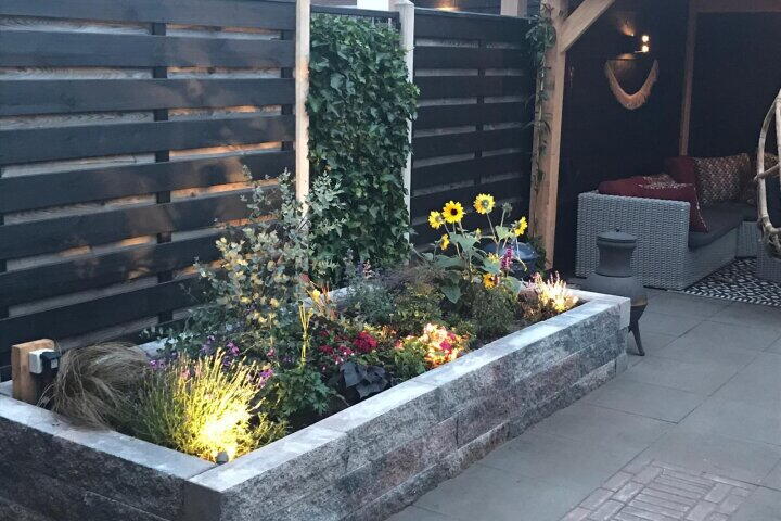 Foto 36 - Punter 7, Meppel