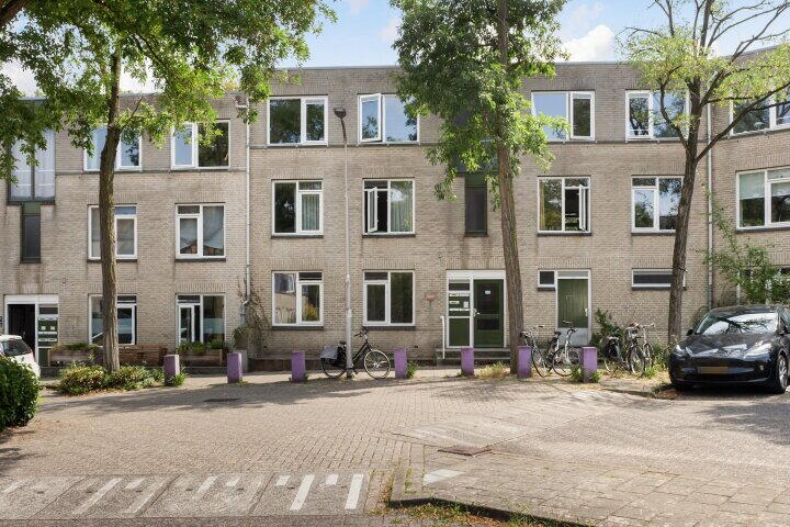 Ridderspoor 12