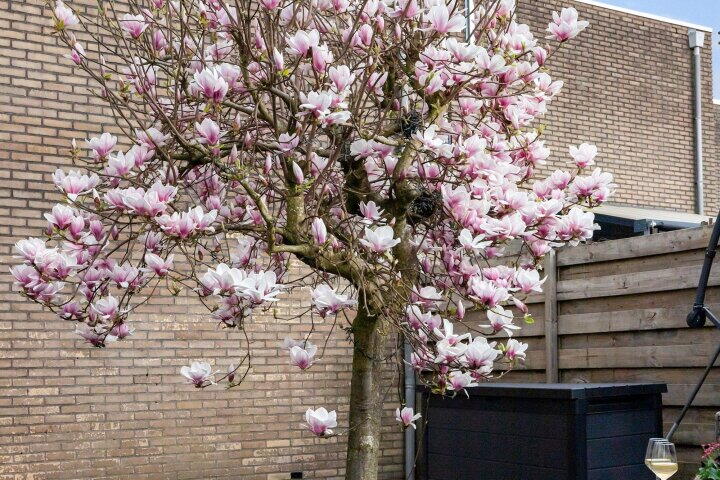 Foto 9 - Rietdekkersdreef 306, Apeldoorn