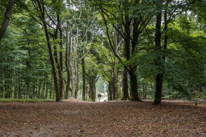 Foto 13 - Rijksstraatweg 221 A, Leersum