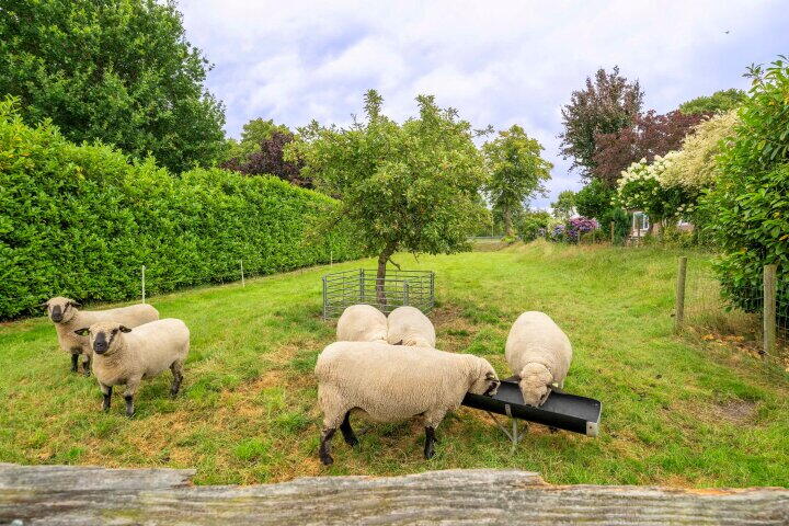 Foto 73 – Rijksweg 109, Smilde