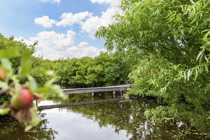 Foto 55 - Roemer 8, Hazerswoude-dorp