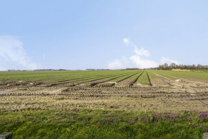 Foto 56 - Roosendaalseweg 109, Kruisland