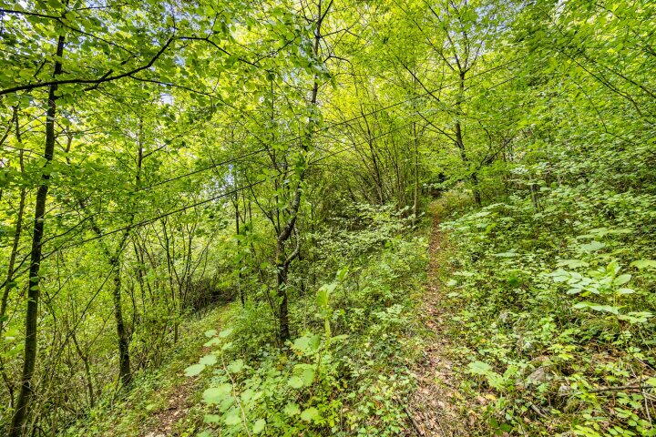 Foto 37 - Rue des Heids 21, Mery/esneux