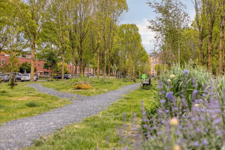 Foto 52 - Salland 68, Lelystad
