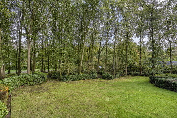 Foto 54 – Scherpenbergsebaan 6, Schijf