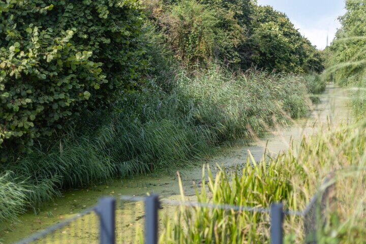Foto 39 – Schoener 42 47, Lelystad