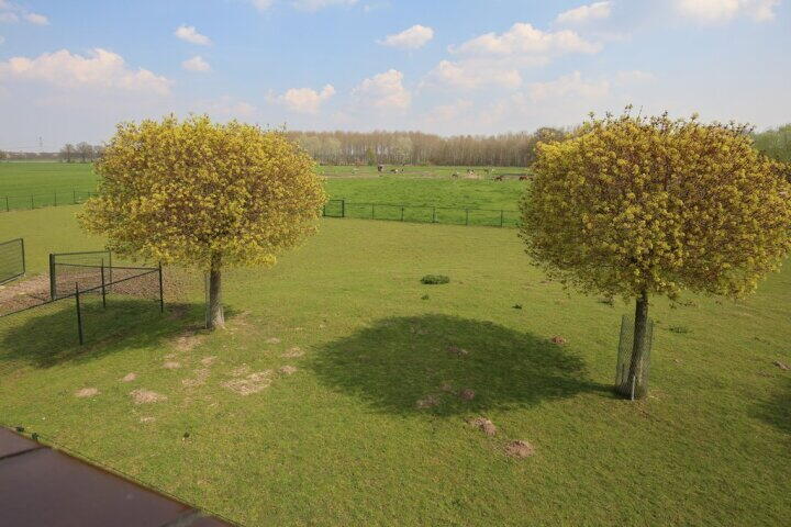 Foto 33 - Schoonenburgseweg 28, Overasselt