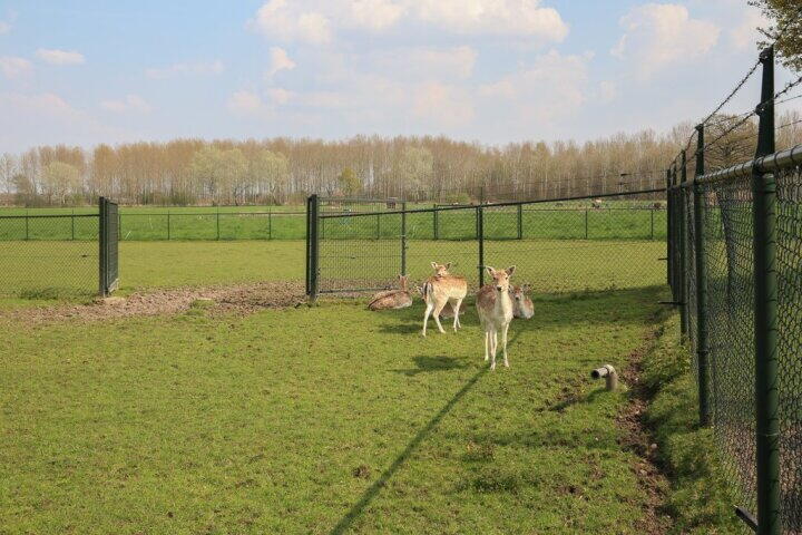 Foto 34 - Schoonenburgseweg 28, Overasselt