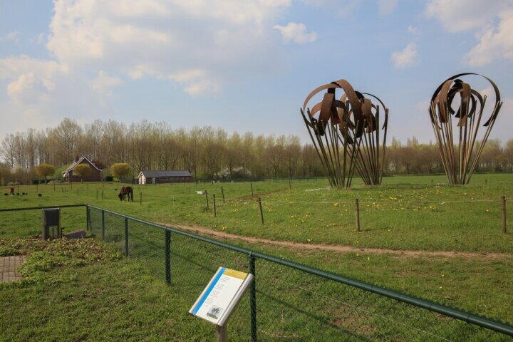 Foto 48 - Schoonenburgseweg 28, Overasselt