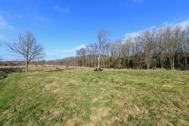 Foto 73 - Schoterlandseweg 29, Katlijk