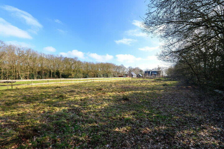 Foto 74 - Schoterlandseweg 29, Katlijk