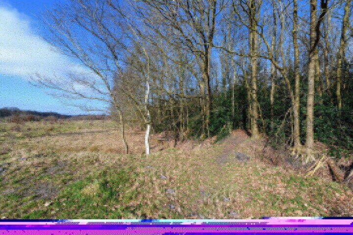 Foto 75 - Schoterlandseweg 29, Katlijk