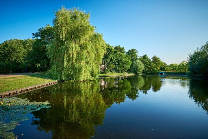 Foto 25 - Silvoldestraat 86, Amsterdam