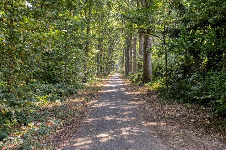Foto 42 – Sluiskamp 3186, Wijchen