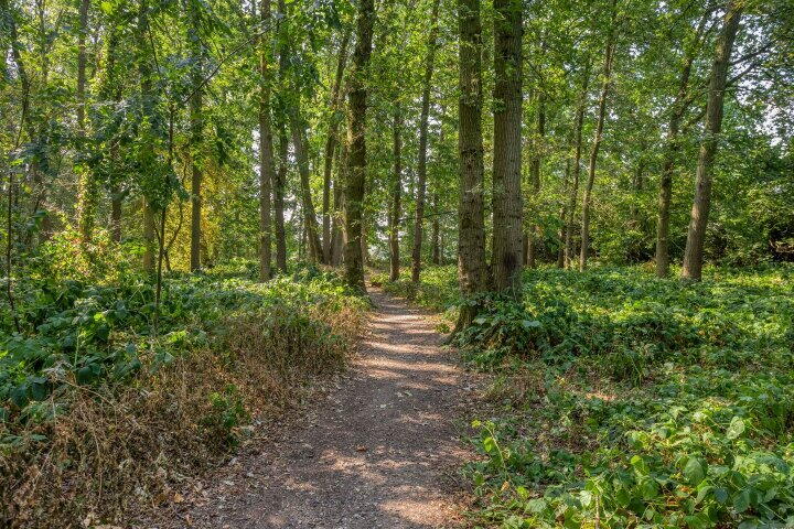 Foto 43 – Sluiskamp 3186, Wijchen