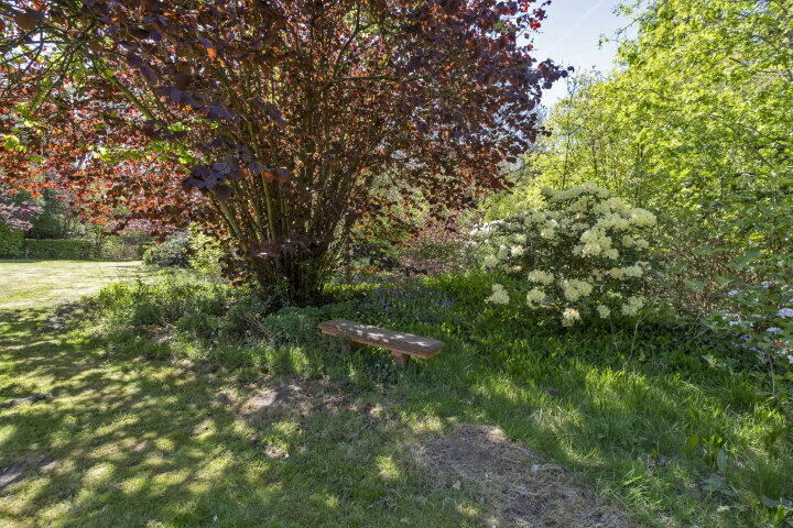 Foto 55 - Smalbroeksweg 6, Elp